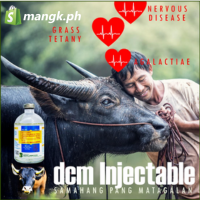 DCM Injectable 100mL |Dextrose, Calcium, Magnesium| para sa panghihina walang gatas at pamamayat