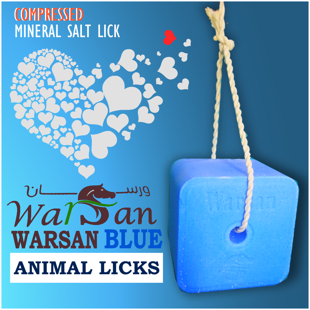 Authentic WARSAN BLUE 4.5kg Mineral Block Salt Lick| Immune Booster for Ruminants | FOR PICK UP ONLY